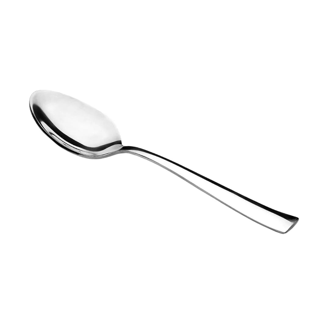 Stainless Steel Spoon